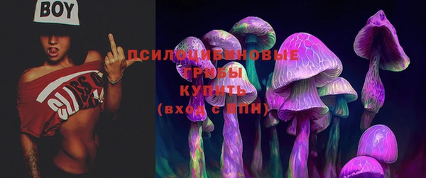 марихуана Дмитровск