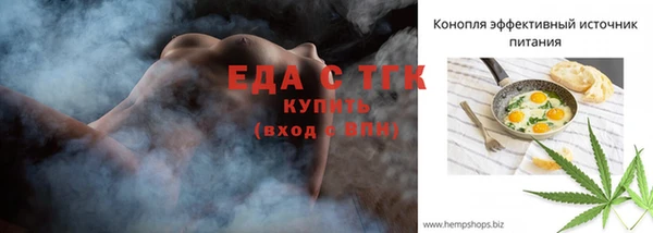 хмурый Дмитров