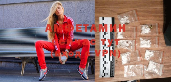 хмурый Дмитров