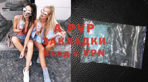 амф Гусиноозёрск