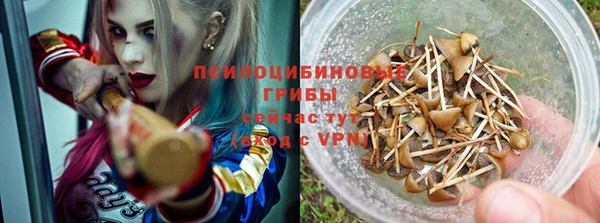 a pvp Дмитриев