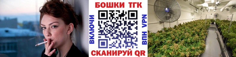 Купить  Железноводск  Бошки Шишки планчик 
